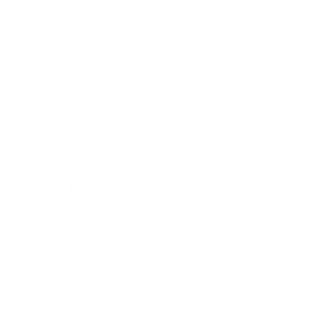 SEO icon
