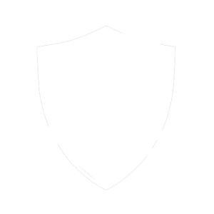 Social Media Management icon